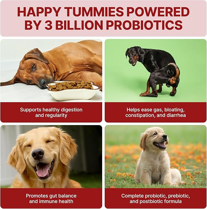TPC Probiotics for Dogs, 90 Soft Chews – Dog Probiotics with Digestive Enzymes & Prebiotics – Supports Gut Health, Diarrhea & Bowel Support, Seasonal Allergies – Pet Supplement