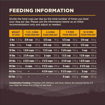 Wellness CORE Puppy Dry Dog Food, Grain-Free, High Protein, Natural, Chicken & Turkey Recipe, (26-Pound Bag)