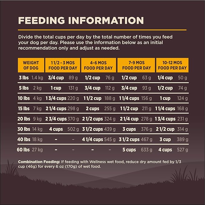 Wellness CORE Puppy Dry Dog Food, Grain-Free, High Protein, Natural, Chicken & Turkey Recipe, (12-Pound Bag)