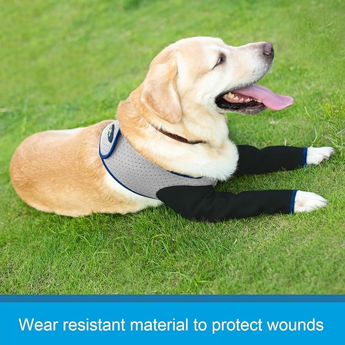 Coodeo Dog Recovery Sleeves, Cone Collar Alternative, Abrasion Resistant Dog Recovery Suit, Washable 2.5mm Thick and Waterproof, Pet Wounds Prevent Licking, Biting (Grey, 2XL)