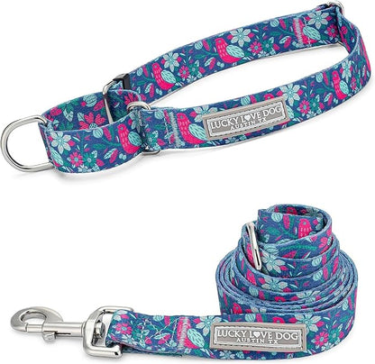 Lucky Love Dog - Easy Click Buckle Dog Collar with Leash Set Combo, Durable & Comfortable for Male & Female Dogs, Pet Collar for Medium Dogs, Secure Fit - Carriebelle Martingale Combo, Medium