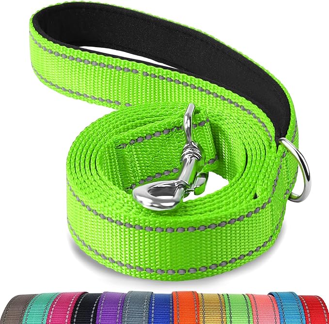 Joytale Dog Leash, 6 FT Double-Sided Reflective, Padded Handle Nylon Heavy Duty Leashes for Medium & Large Dogs Walking, Green