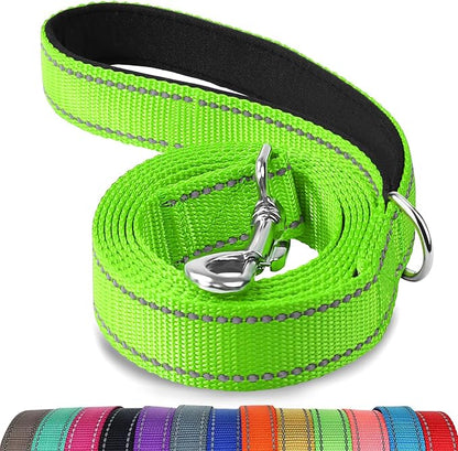 Joytale Dog Leash, 6 FT Double-Sided Reflective, Padded Handle Nylon Heavy Duty Leashes for Medium & Large Dogs Walking, Green