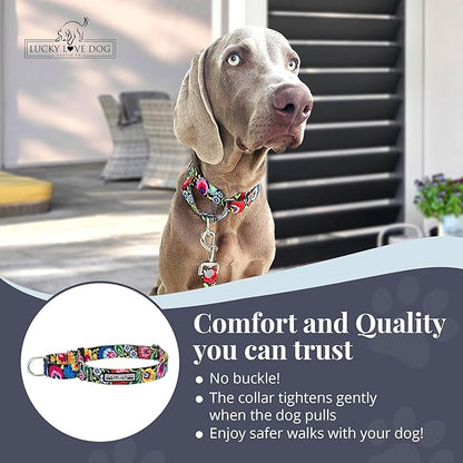 Lucky Love Dog Martingale Dog Collar - Adjustable, No-Slip, Durable, & Soft Webbing Collar for Male and Female Dogs Ideal for Training & Walking - Blackbird, Medium