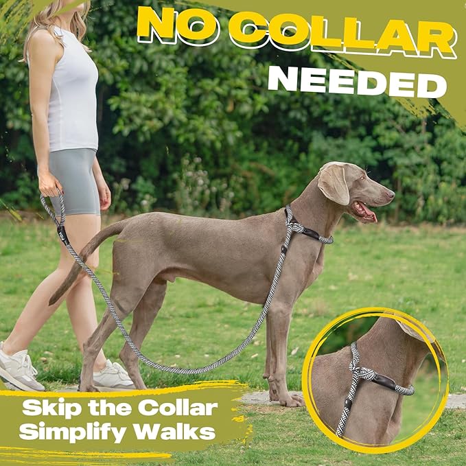 Fida Durable Slip Lead, 6 FT x 1/2" Heavy Duty Dog Loop, Comfortable Strong Rope Leash for Large, Medium Dogs, No Pull Pet Training Leash with Highly Reflective, Grey