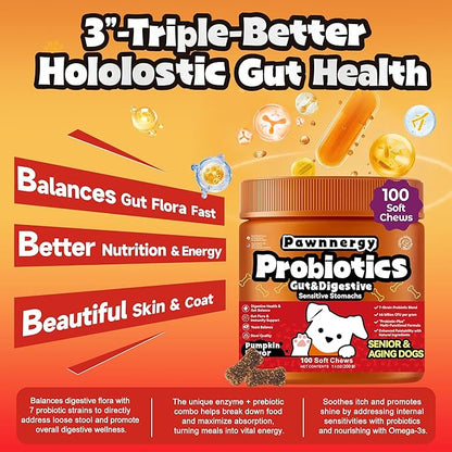 Probiotics for Dogs - Improve Gut Health, Digestive, Immunity, Yeast Balance, Solid Stool - with Prebiotics - Reduce Diarrhea, Gas, Bad Breath, Constipation, Allergy - Ideal for Senior Dogs (5+ Years)