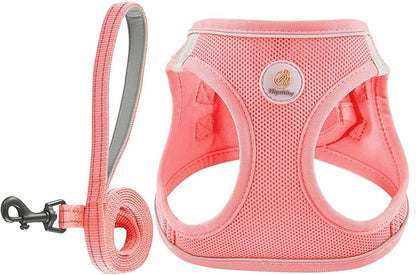 Hipubby Dog Harness and Leash Set, No Pull Soft Mesh Puppy Harness for Small Medium Dogs, Cats - Step in Reflective Breathable Lightweight Vest Harness for Walking, Training - Pink, XXS