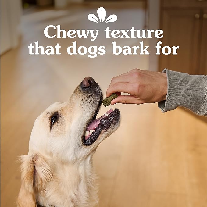 Greenies Anytime Bites Dog Treats, Blueberry Flavor, Dog Training Treats, 24 oz. Bag