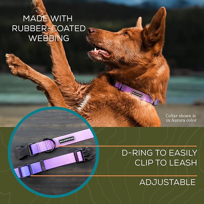 Wilderdog Waterproof Dog Collar – Repels Water & Dirt - Small 11"-15" - Aurora