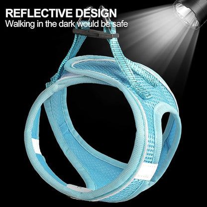 Dog Harness for Small Dogs and Leash Set, Honeycomb Grid, Reflective Lightweight Harness & Anti-Twist Pet Lead Multi Color, Size: XS-S-M. (XS, Sky Blue)