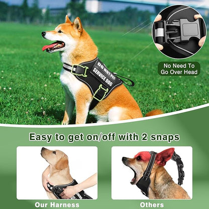 Service Dog Vest Harness and Leash Set+10 Patches,No Pull&Easy Walk Reflective Dog Harness with Soft Padded Handle for Training/Everyday,Fit Small/Medium/Large/Extra-Large Dogs(Black M)