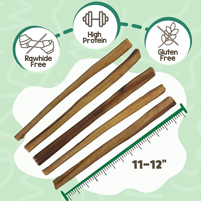 Nature Gnaws Large Bully Sticks for Dogs 11-12" (10 Count) - Thick Long Lasting for Aggressive Chewers and Large Dogs - Natural Beef Dog Chew Bones