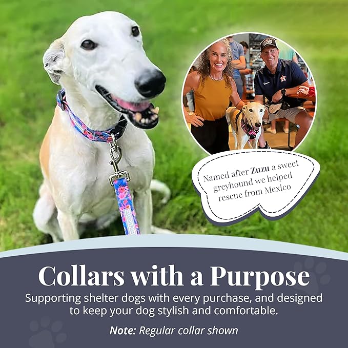 Lucky Love Dog Martingale Dog Collar & Leash - Adjustable, No-Slip, Durable, Comfortable, Soft Webbing, & Stylish Patterned Collar & Leash Set for Male and Female Dogs - Zuzu Combo, Small