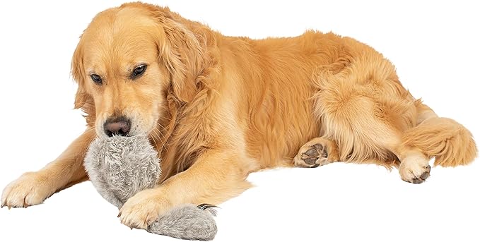 Hyper Pet Doggie Tail Interactive Plush Automatic Dog Toys, Durable, Wiggles, Vibrates, and Barks, Batteries Included, for All Dog Breeds, Boredom Buster