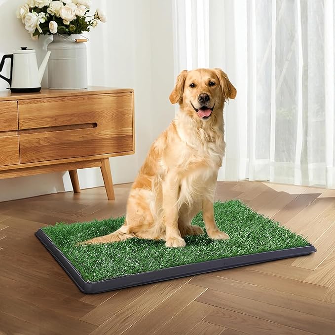 Indoor Dog Potty Grass with Tray Large, Reusable Dog Pee Grass Pad with Tray, Artificial Grass Turf for Puppy Potty Training, Outdoor Portable Pet Loo Toilet, 3-Layer System, 30" × 20"