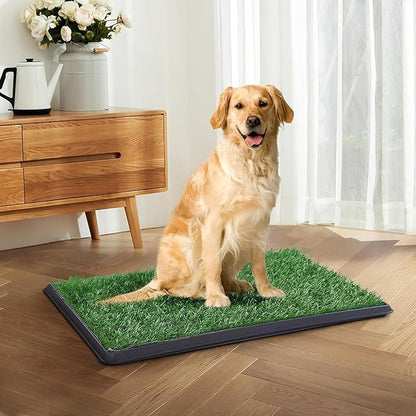 Indoor Dog Potty Grass with Tray Large, Reusable Dog Pee Grass Pad with Tray, Artificial Grass Turf for Puppy Potty Training, Outdoor Portable Pet Loo Toilet, 3-Layer System, 30" × 20"
