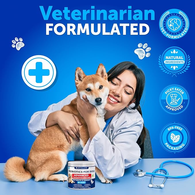(2 Pack) Probiotics for Dogs - Chews for Gut Health, Itchy Skin, Allergies, Immunity, Yeast Balance - 6 Dog Probiotics, Digestive Enzymes with Prebiotic Fiber - Reduce Diarrhea, Gas - 240 Soft Treats