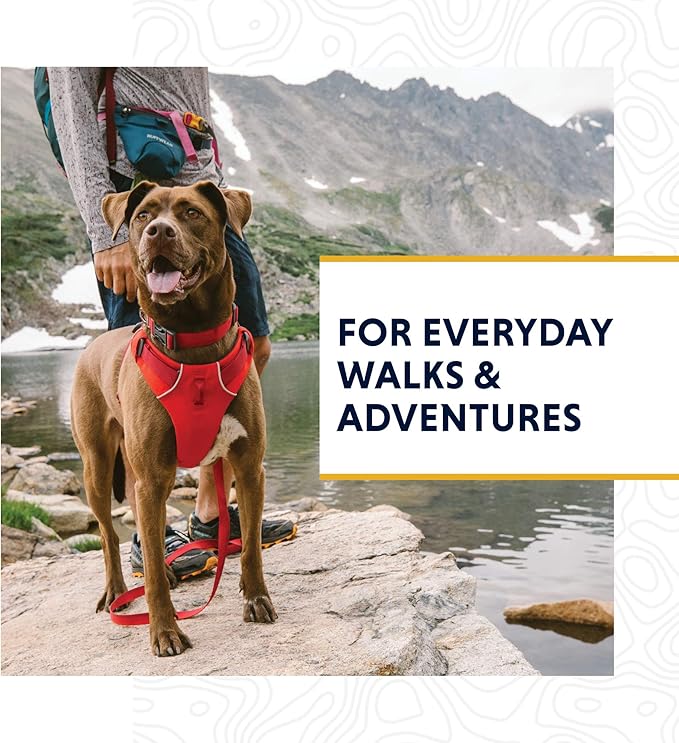 Ruffwear, Front Range Dog Collar, Adjustable Tubelok Webbing, Lightweight, Side Release Buckle, Aluminum V-Ring, Durable for Everyday Use, Red Sumac, 11"-14"