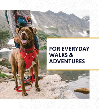 Ruffwear, Front Range Dog Collar, Adjustable Tubelok Webbing, Lightweight, Side Release Buckle, Aluminum V-Ring, Durable for Everyday Use, Red Sumac, 11"-14"