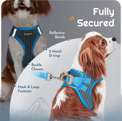 Eagloo Small Dog Harness and Leash Set, Step in Puppy Vest with Breathable Soft Mesh, Walking Reflective Pet Harness for Medium Small Dogs, Blue, L
