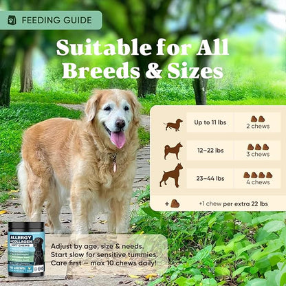 Dog Allergy Chews is Collagen Omega 3 Human Anti Itch Relief for Dogs Multivitamin Itching Skin Relief and Aller Immune Pet Allergy Chews Coat Licking Supplement Pills Meds Treats 200 Bites for Dogs