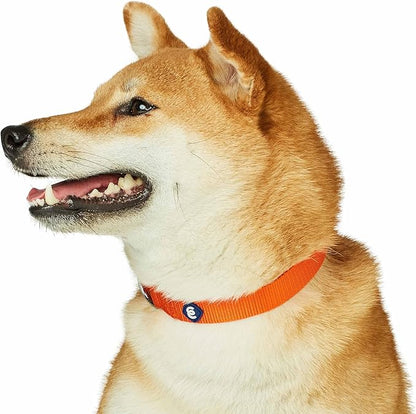Blueberry Pet Essentials Matching Dog Collar and Leash Set in Orange Vermilion, Adjustable Classic Solid Color Nylon Collar with 4 ft Leash for Large Dogs