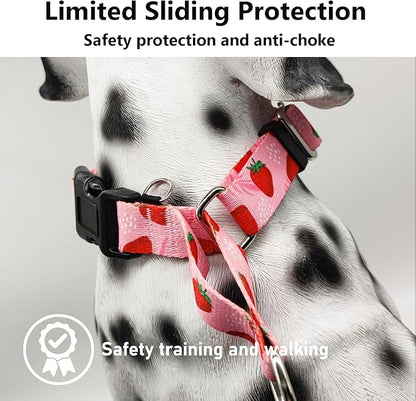 Martingale Collar for Dogs with Pink Strawberry Pattern No Pull Training Nylon Limited Slip Collars for Medium Dogs