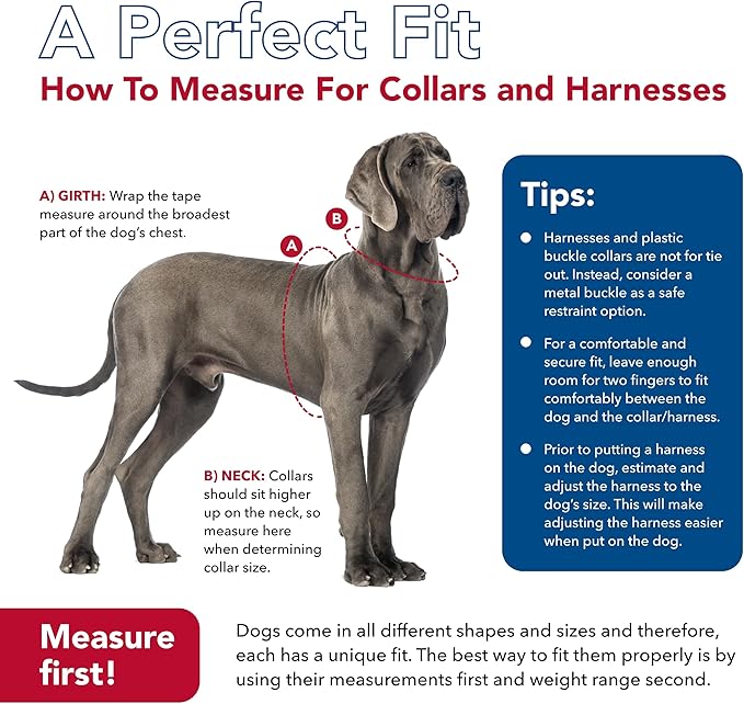 Coastal Pet SecureAway Collar Protector for Flea Collars - Adjustable pet Accessory - Protective Flea Collar for Dogs & Puppy - Red, 1" x 14-20"