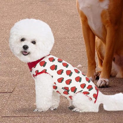 2 Packs Pet Dog Recovery Onesie Suit for Dogs Cats After Surgery,Dog Abdominal Wounds Bandages Cone E-Collar Alternative. (Pink, XS)