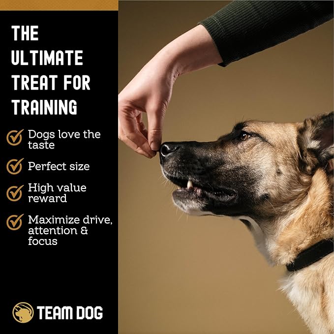 Team Dog Freeze Dried Turkey Dog Treats for Training | Healthy Gluten Free, Grain Free Dog Treats | No Added Fillers, Flavoring or by-Products | for All Breeds & Sizes | 5.2 Oz Turkey Bites