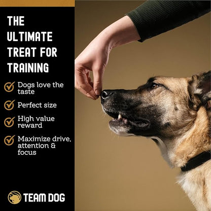 Team Dog Freeze Dried Turkey Dog Treats for Training | Healthy Gluten Free, Grain Free Dog Treats | No Added Fillers, Flavoring or by-Products | for All Breeds & Sizes | 5.2 Oz Turkey Bites