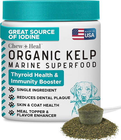 Sea Kelp Powder for Dogs - Thyroid, Dental & Plaque Support, Skin & Coat - Chew + Heal Labs Iodine-Rich 4 oz Kelp Supplement, Digestion & Immune, Seaweed Meal Topper with 5cc Spoon, Made in USA