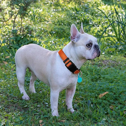 Ladoogo Reflective Dog Collar Padded with Soft Neoprene Breathable Adjustable Nylon Dog Collars for Small Medium Large Dogs (X-Small (Pack of 1), Orange Collar+Leash)