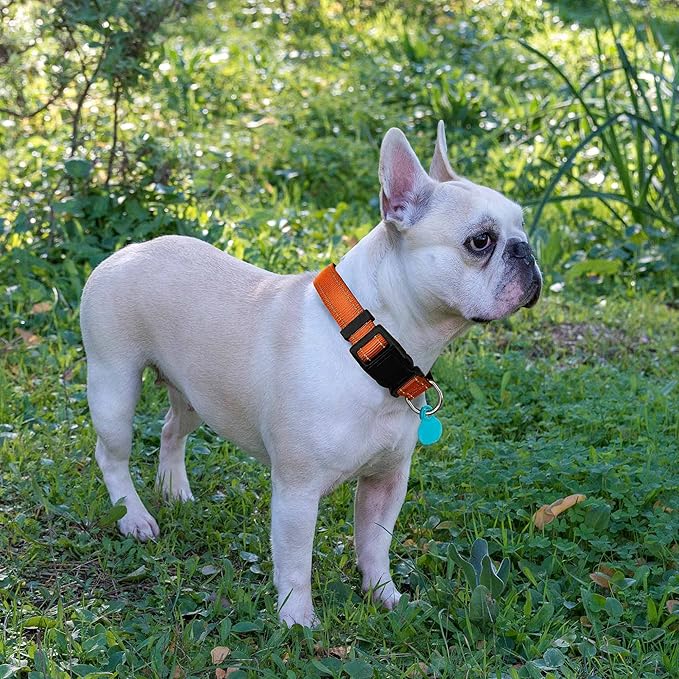 Ladoogo Reflective Dog Collar Padded with Soft Neoprene Breathable Adjustable Nylon Dog Collars for Small Medium Large Dogs (Small (Pack of 1), Orange Collar+Leash)