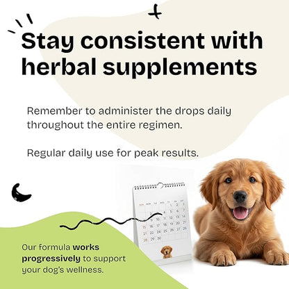 Forever Puppy Liver Support for Dogs - Liquid Milk Thistle Extract for Dogs - Liver Detox Vitamins and Supplements for All Breeds & Sizes - Sugar & Alcohol-Free Drops - 4 oz