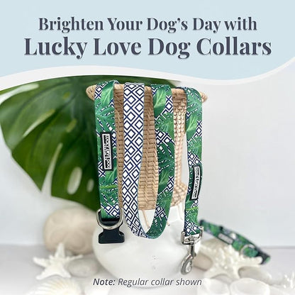 Lucky Love Dog Martingale Collar, Premium No Slip Martingale Collar for Small Boy Dogs, Great for Whippets, Greyhounds, and More (Small, Blue Laguna)
