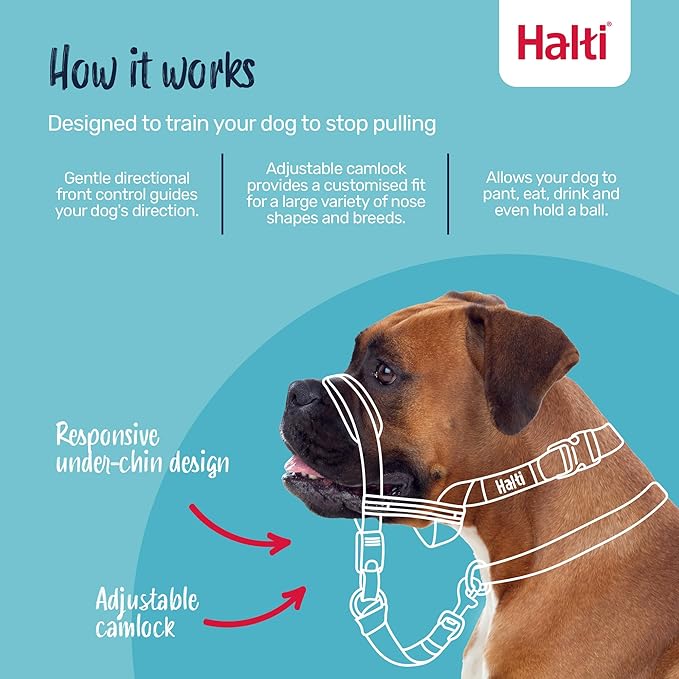 Halti Optifit Headcollar & Halti Training Leash Size Large, Black Combination Pack - Stop Your Dog Pulling on the Leash. Adjustable with Padded Nose Band. Suitable for Large Dogs