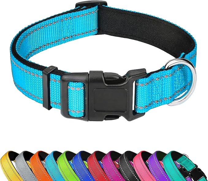 Reflective Dog Collar, Adjustable Soft Neoprene Padded Nylon Pet Collars with Buckle for Medium Dogs, Sky Blue,M