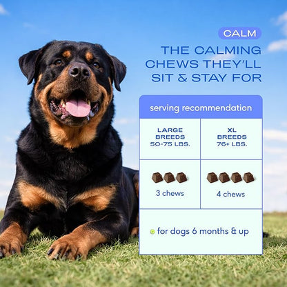 Native Pet Calming Chews for Dogs XL Breed - Promotes Calming Effect, Supports Emotional Balance & Reduces Hyperactivity - Hemp Seed, Melatonin for Dogs, L-Theanine & Casein - 30 Days Supply