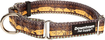 Downtown Pet Supply - Martingale Collar for Dogs - Dog Training Collar - Big, Wide & Thick Dog Collar - Escape-Proof, Weatherproof, Durable and Comfortable - Sahara - Small Dog Collar