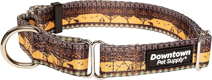 Downtown Pet Supply - Martingale Collar for Dogs - Dog Training Collar - Big, Wide & Thick Dog Collar - Escape-Proof, Weatherproof, Durable and Comfortable - Sahara - Large Dog Collar
