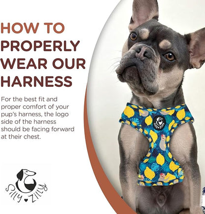 No Pull Harness and Leash Set - 6-in-1 Adjustable Vest Harness and Collars for Medium and Large Dogs. (Lemon, Large)