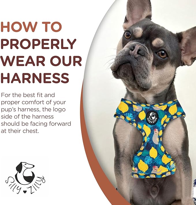 No Pull Harness and Leash Set - 6-in-1 Adjustable Vest Harness and Collars for Medium and Large Dogs. (Lemon, Medium)