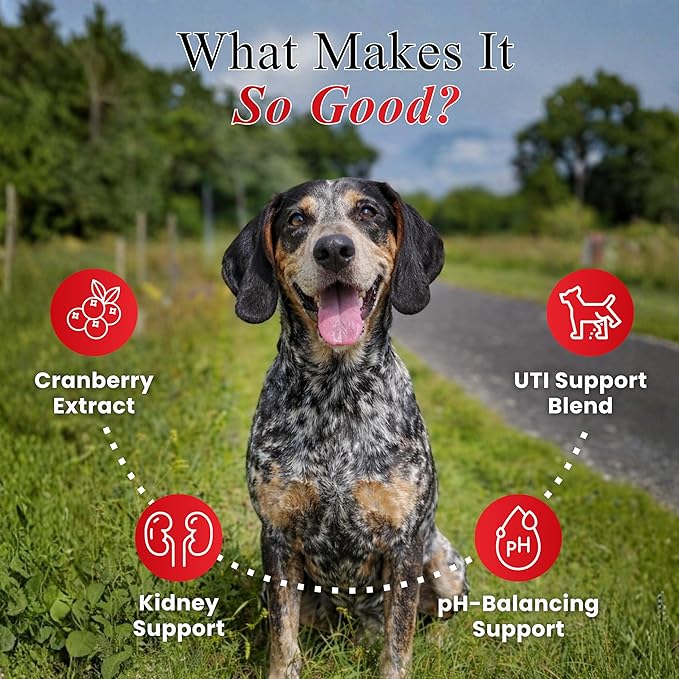 Cranberry Chews for Dogs – UTI Support & Bladder Support – Cranberry Supplement for Dogs – Dog Kidney Support – Urinary Tract & Bladder Control (90 Soft Chews)