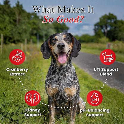 Cranberry Chews for Dogs – UTI Support & Bladder Support – Cranberry Supplement for Dogs – Dog Kidney Support – Urinary Tract & Bladder Control (90 Soft Chews)