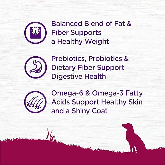 Wellness Complete Health Healthy Weight Small Breed Adult Dry Dog Food, Wholesome Grain Kibble, Natural, Turkey and Brown Rice Recipe, 12 lb Bag