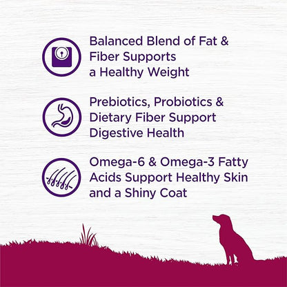 Wellness Complete Health Healthy Weight Small Breed Adult Dry Dog Food, Wholesome Grain Kibble, Natural, Turkey and Brown Rice Recipe, 12 lb Bag
