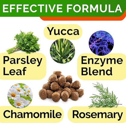 STRELLALAB No Poo Treats for Dogs - Coprophagia Stool Eating Deterrent - No Poop Eating for Dogs - Digestive Enzymes - Gut Health & Immune Support - Stop Eating Poop - Bacon Flavor 240 Chews
