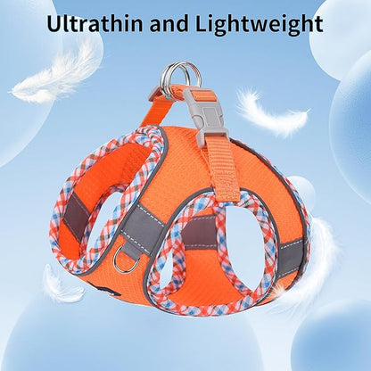 AIITLE Dog Harness and Leash Set - Ultra-Comfortable XXS-XL Vest with Strong Magic Tape & Glow-in-Dark Reflective Strips, Chafe-Free for Teddy, Schnauzer (Orange, M)