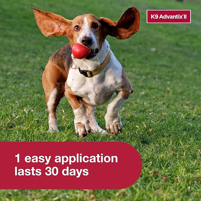 K9 Advantix II Small Dog Vet-Recommended Flea, Tick & Mosquito Treatment & Prevention | Dogs 4-10 lbs. | 1-Mo Supply (Pack of 3)